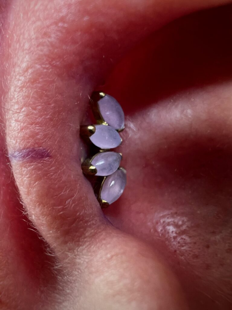 Conch Piercing Titanio